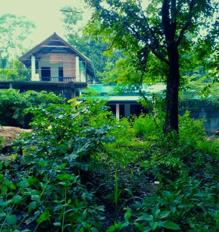 Habarana Dulwan Guest House المظهر الخارجي الصورة