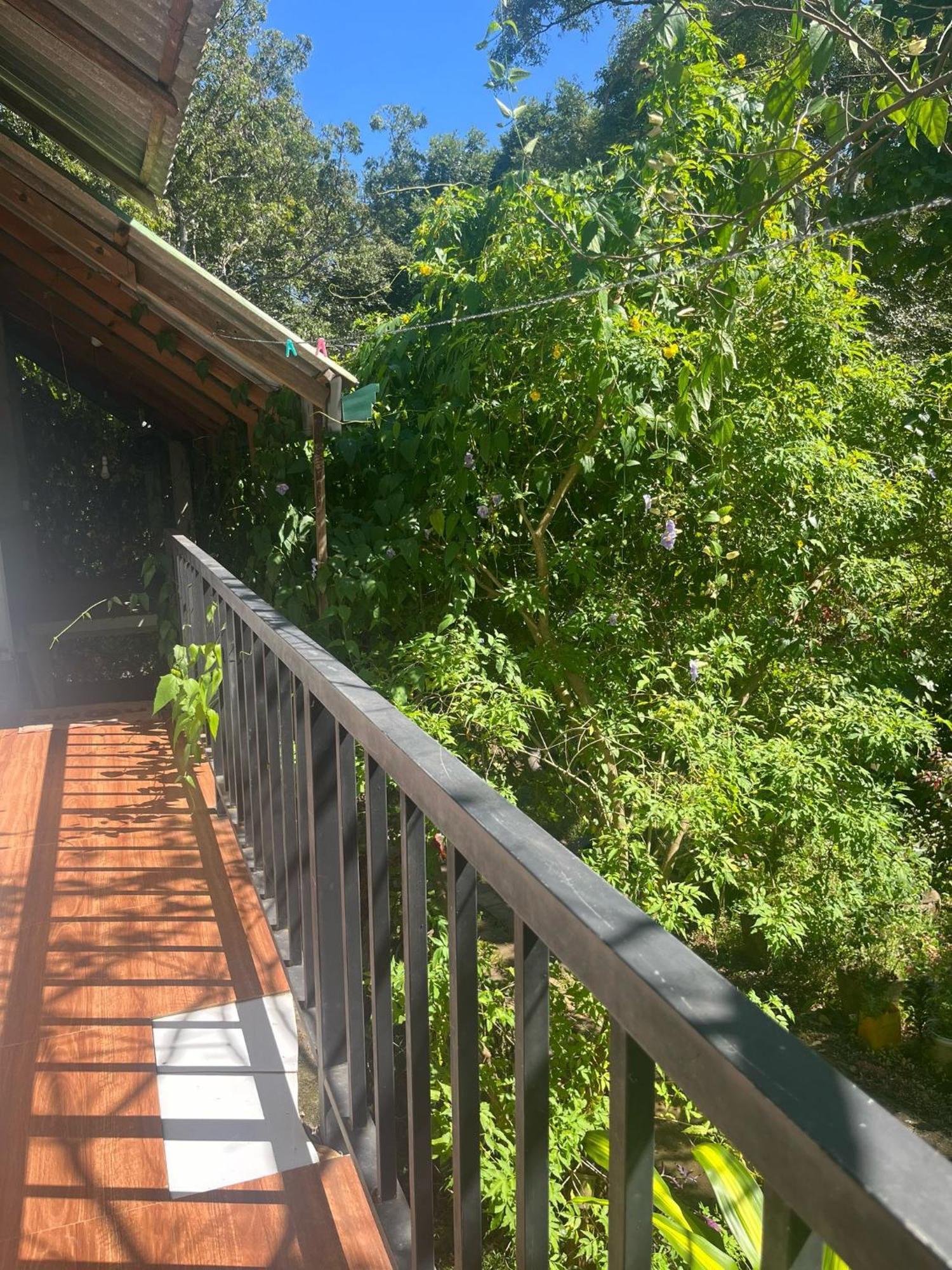 Habarana Dulwan Guest House الغرفة الصورة